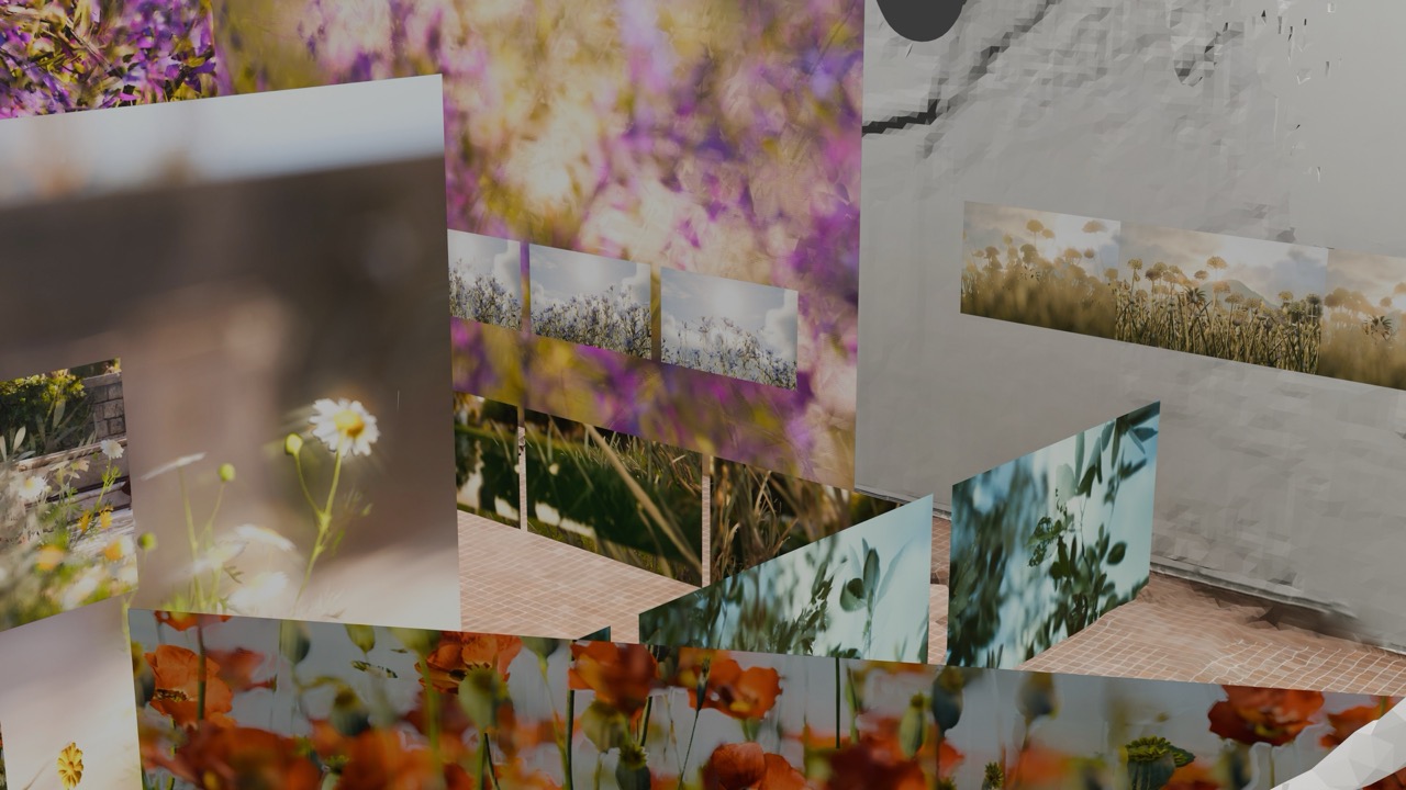 Elsewhere is a negative mirror